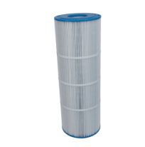  Filtre SwimClear™ Mono-élément